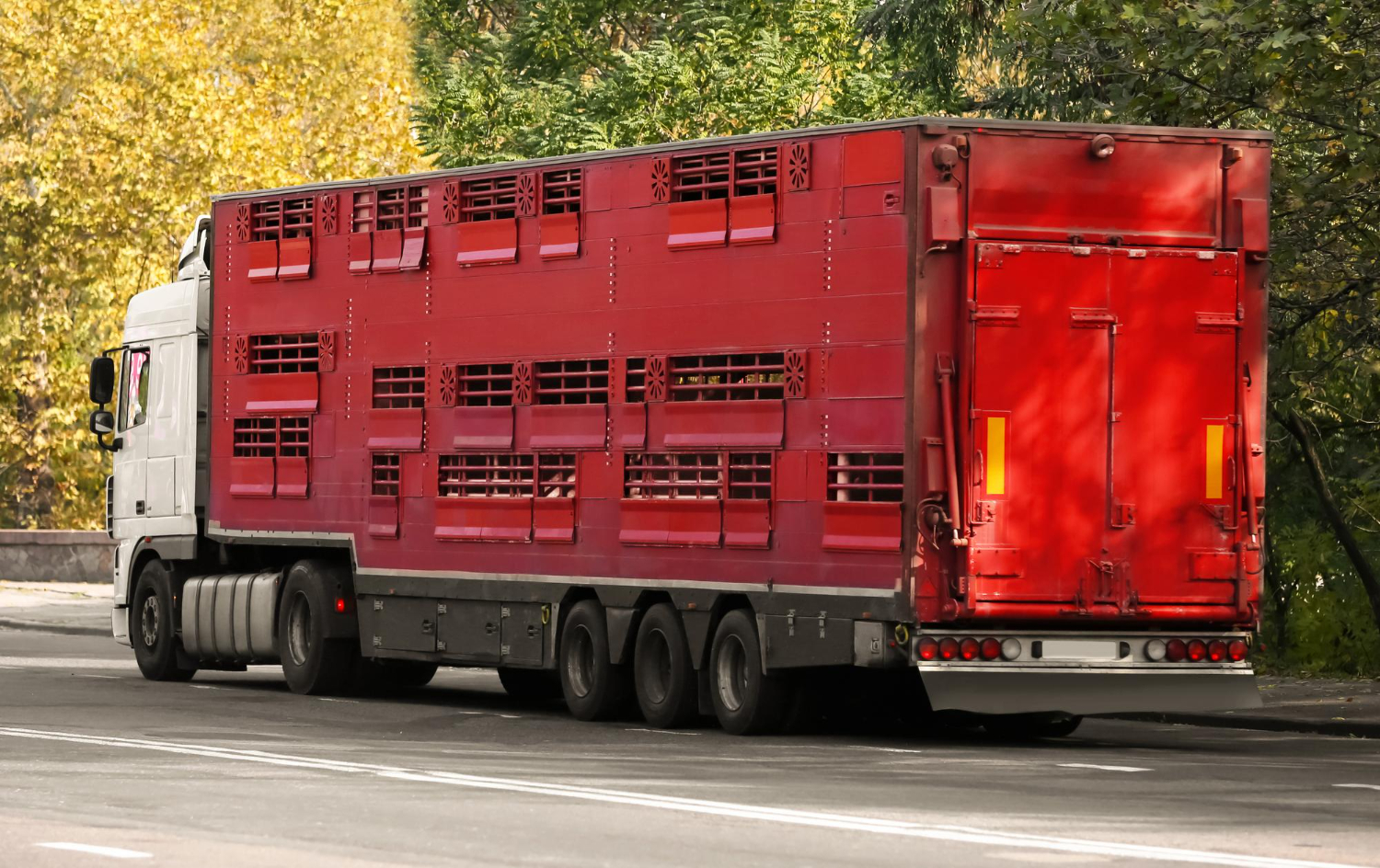 Livestock truck