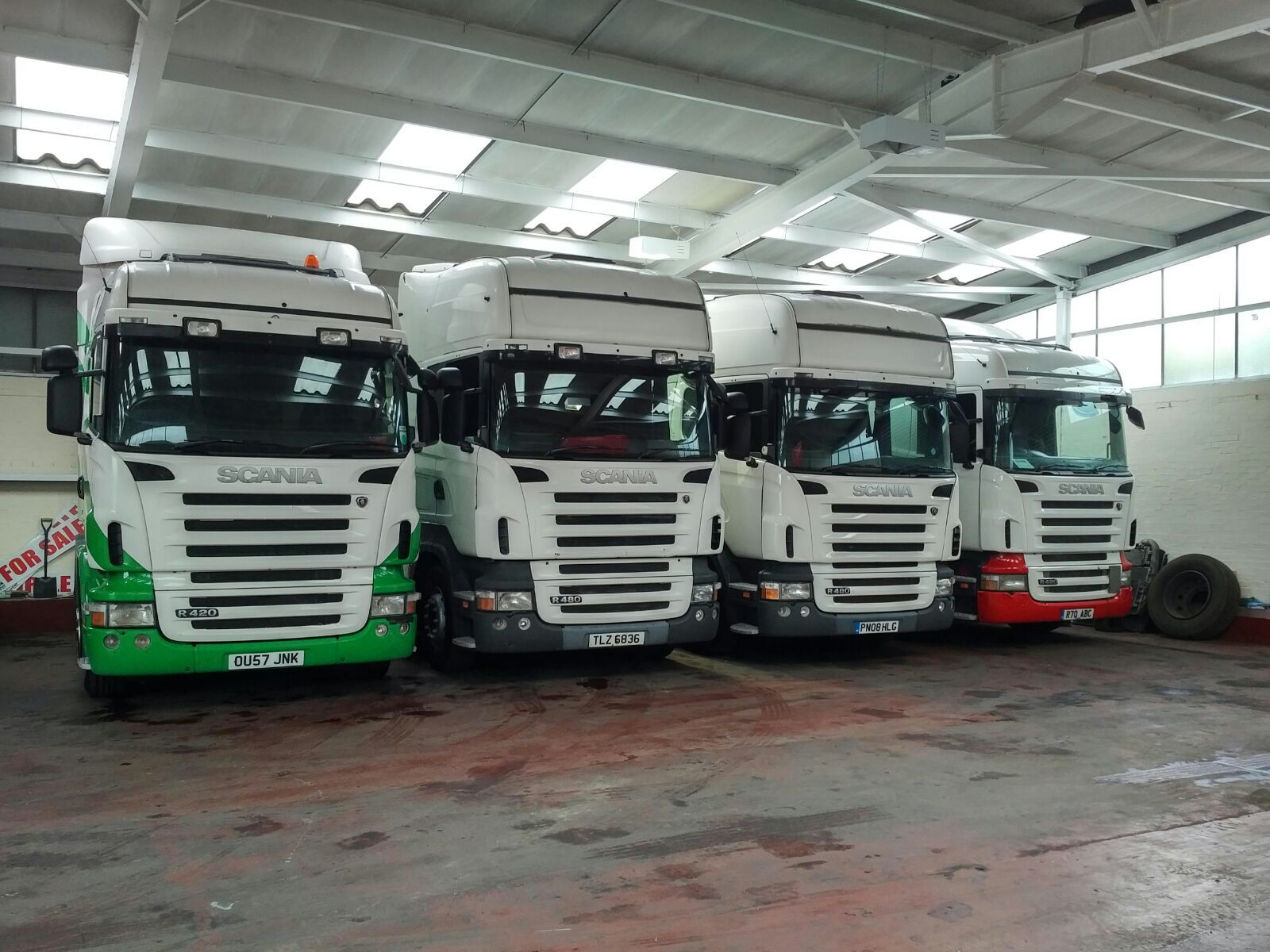 Steer Commercials Sales & Exports Ltd undefined: picture 2