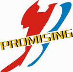 QINGDAO PROMISING INTERNATIONAL CO., LTD. on Truck1